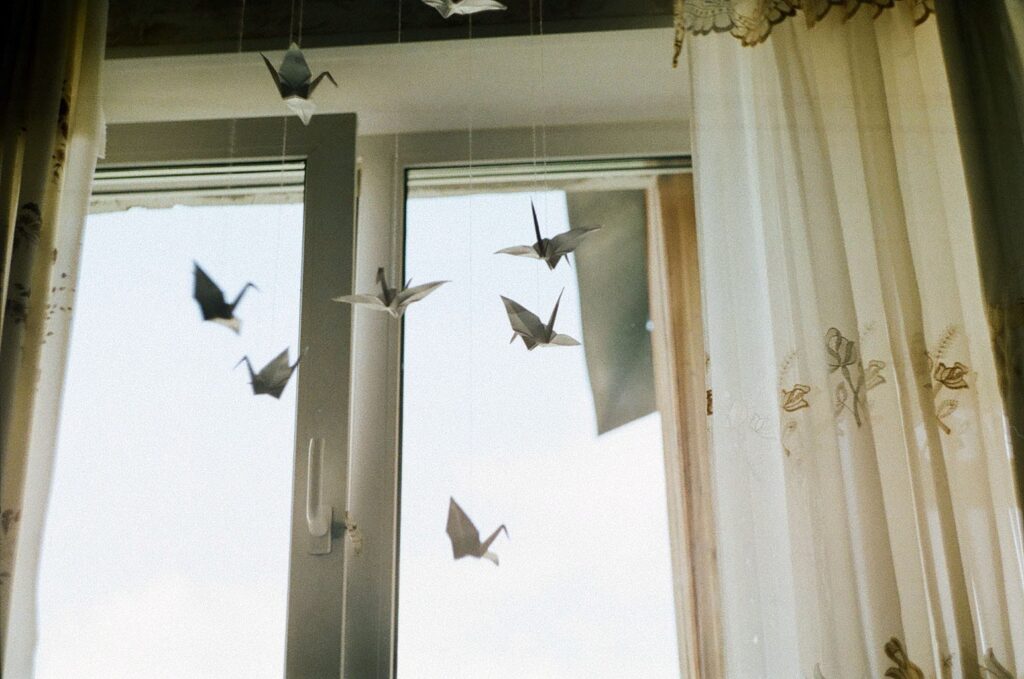 Film photography - Zenit Film Camera - maricandance - paper cranes