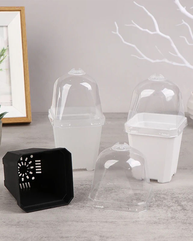 5 Pcs Square Transparent Pot with Humidity Dome