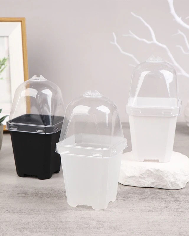 5 Pcs Square Transparent Pot with Humidity Dome